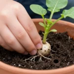 como-ensenar-a-los-ninos-a-sembrar-en-maceta-huerta-urbana