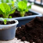 Cómo hacer abono casero con restos de cocina para tu huerta urban como-hacer-abono-casero-con-restos-de-cocina-huerta-urbana-4