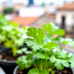 como-hacer-almacigos-caseros-con-materiales-reciclados-huerta-urbana-1