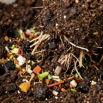 como-hacer-compost-en-casa-en-maceta-pequena-huerta-urbana