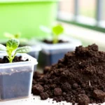 como-hacer-compost-en-departamento-sin-olor-huerta-urbana-1