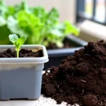 como-hacer-composta-en-cubeta-para-departamento-huerta-urbana-1