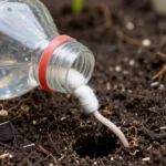como-hacer-riego-por-goteo-casero-para-huerto-huerta-urbana