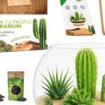 kit-terrario-para-plantas-pequenas-huerta-urbana