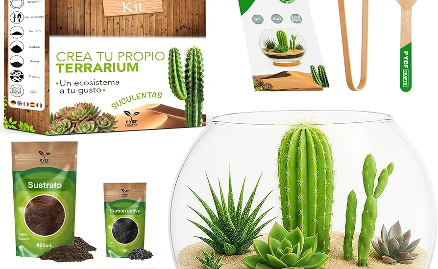 Kit terrario para plantas pequenas en maceta - Bogota