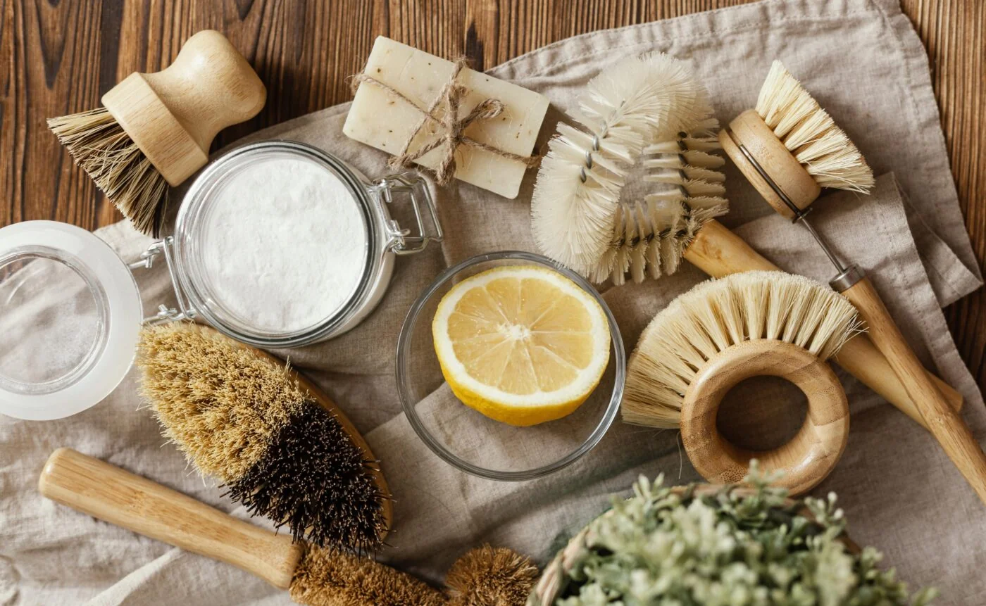 Productos de limpieza sin disruptores endocrinos hogar 0 en maceta - Latinoamerica