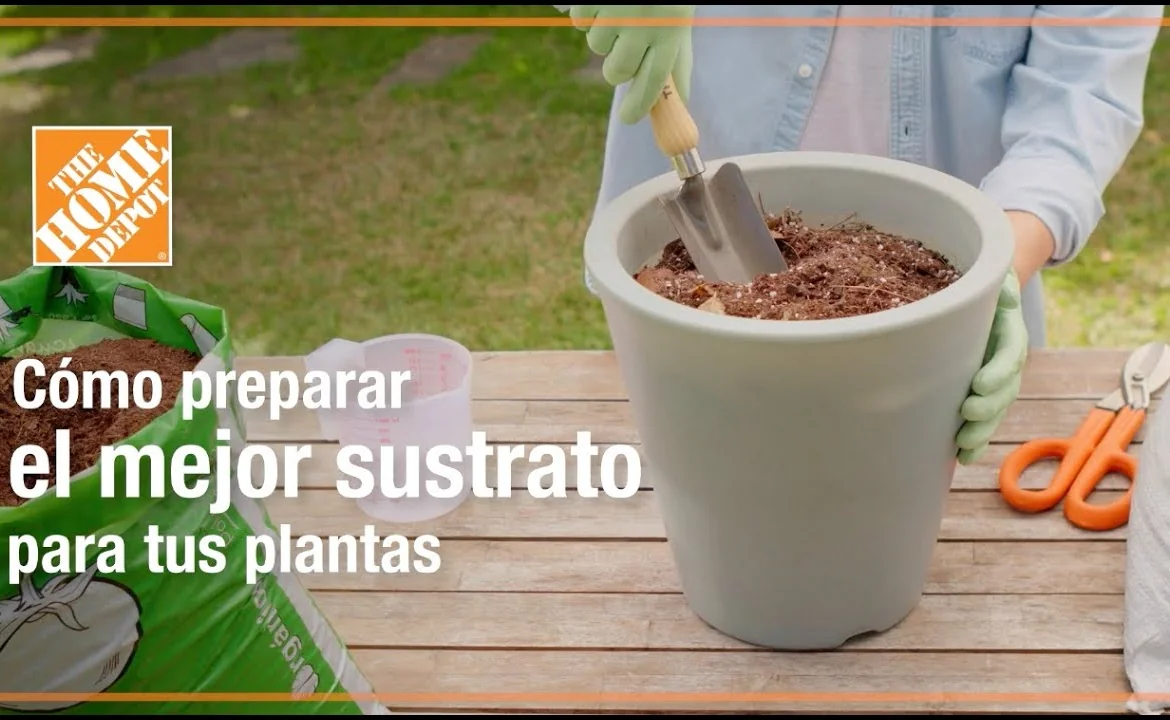 Sustrato en maceta - Santiago